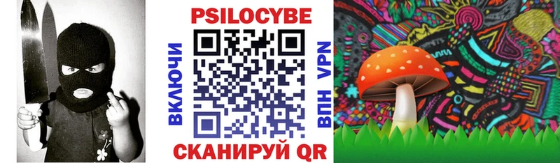 Псилоцибиновые грибы Cubensis  где продают наркотики  Балашов 